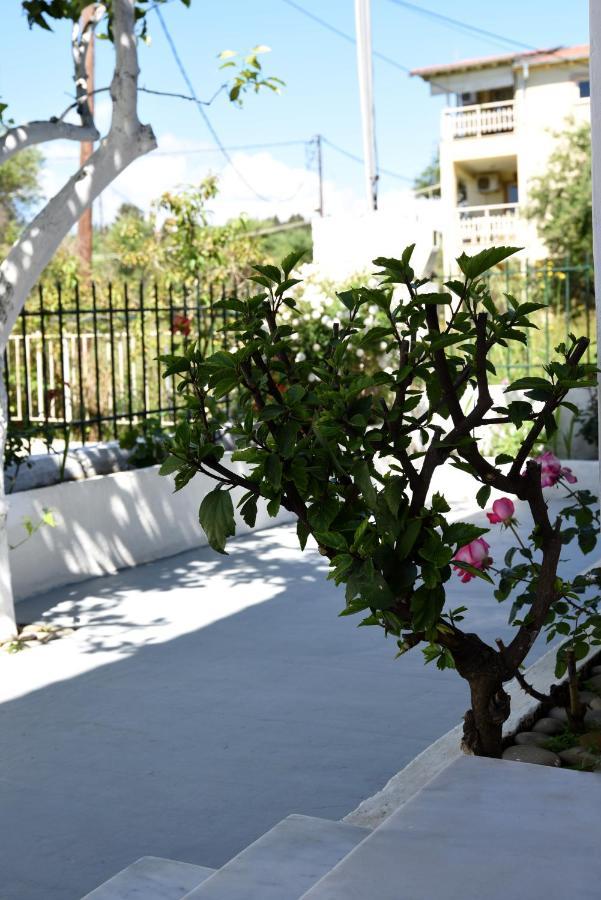 Nefeli Mare Σπίτι διακοπών
